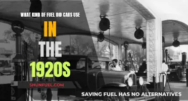 Cars of the Roaring Twenties: Fueling the Revolution