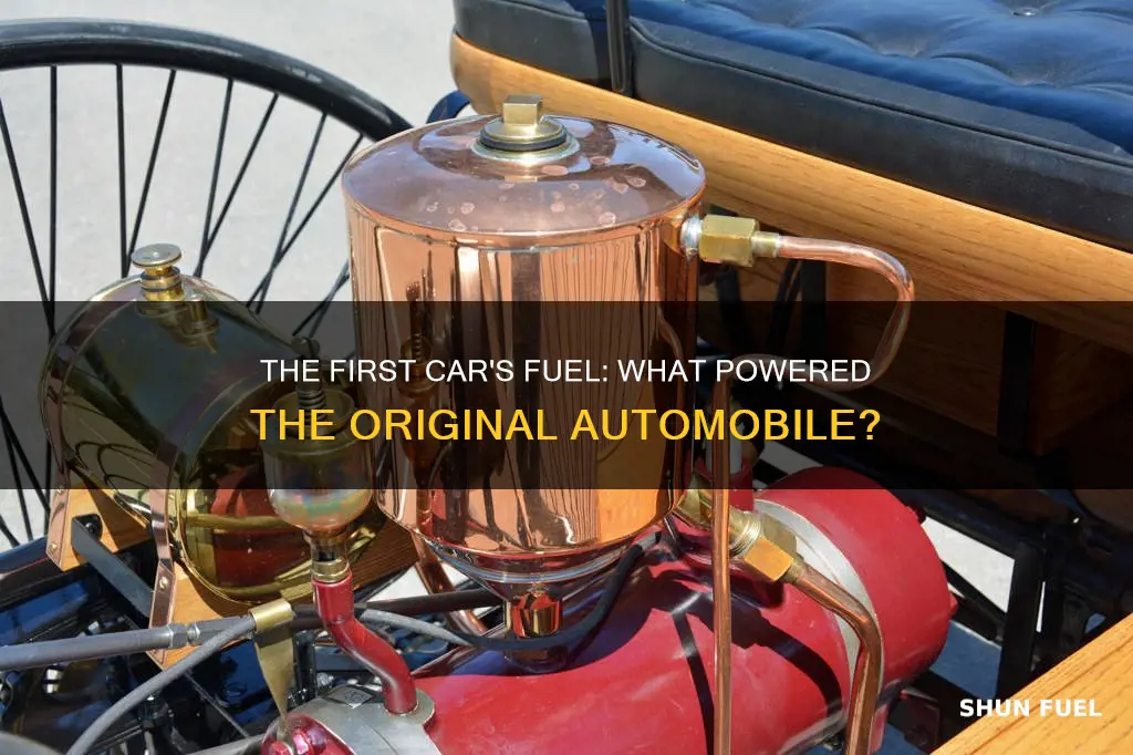 what kind of fuel did the first car use