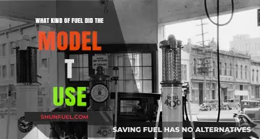 Model T Fuel: Ethanol, Gasoline, and Flex-Fuel Capabilities Explained