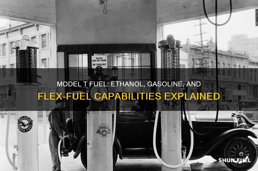 what kind of fuel did the model t use