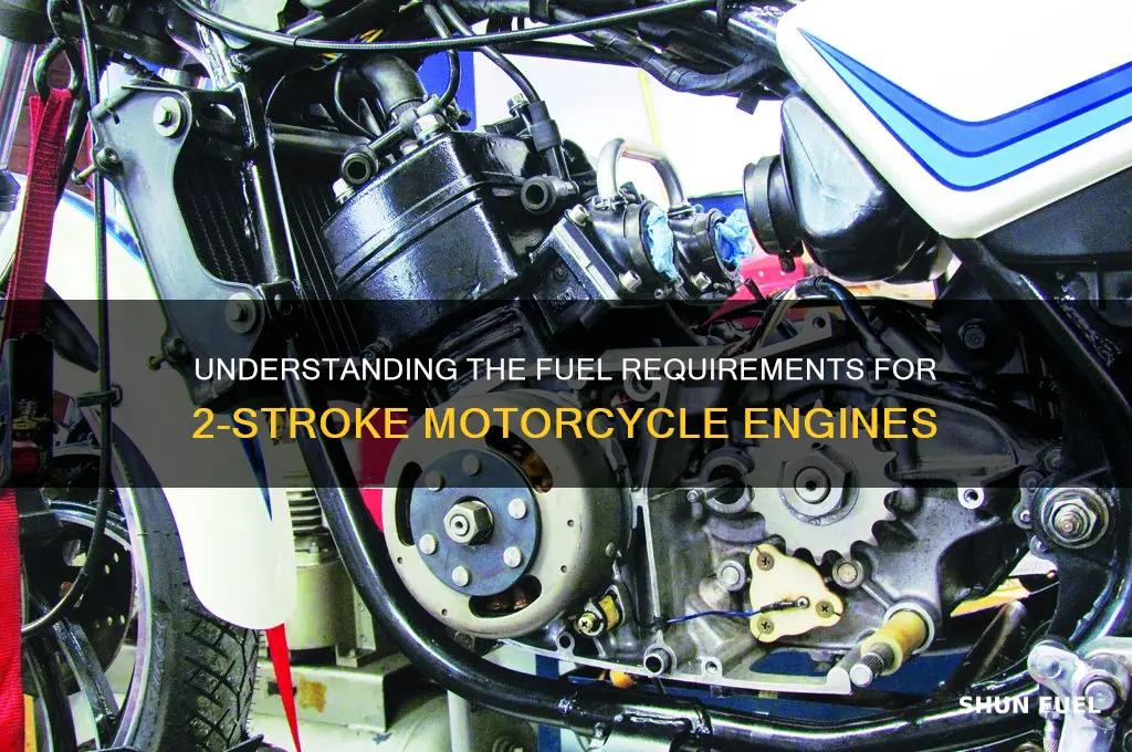 what kind of fuel do 2 stroke motorcycles use