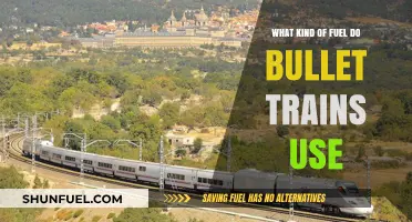 Powering Speed: The Fuel Behind Bullet Trains' Efficiency