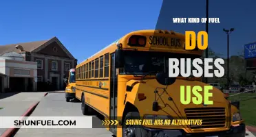 Exploring Bus Fuel Types: Diesel, CNG, Electric, and Beyond