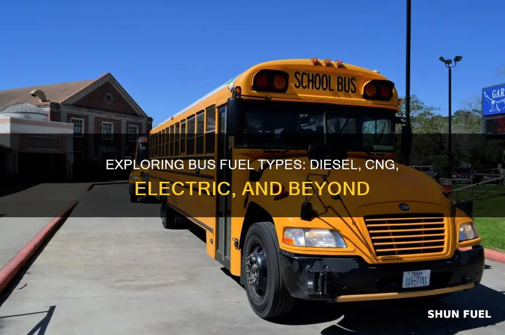 what kind of fuel do buses use