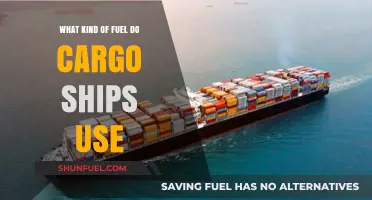 Cargo Ships' Fuel Types: Uncovering the Power Behind Global Trade