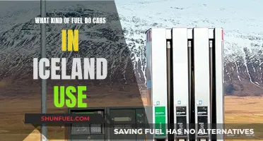 Iceland's Cars: What Fuel Powers Them?