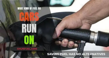The Evolution of Car Fuel: Powering Vehicles