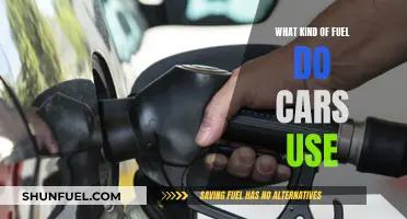 The Evolution of Car Fuels: Past, Present, and Future