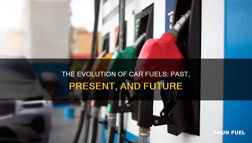 what kind of fuel do cars use