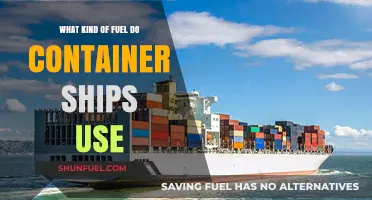 Container Ships' Fuel Choices: Types, Efficiency, and Environmental Impact