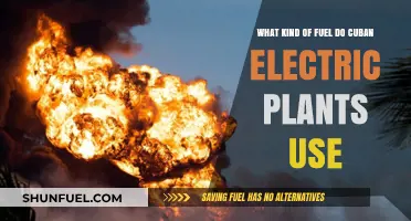 Cuban Power Sources: Exploring Fuel Types for Electric Plants
