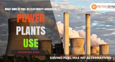 Exploring Fuel Sources for Electricity-Generated Power Plants: Types and Uses