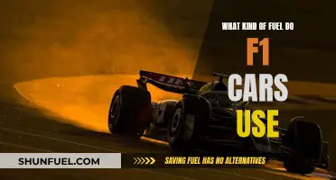 F1 Fuel: Unlocking the Power of High-Octane Energy