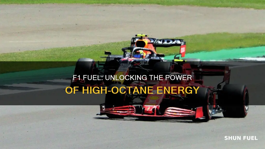 what kind of fuel do f1 cars use