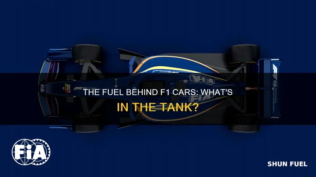 what kind of fuel do f1 cars use