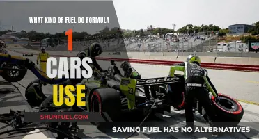 The Evolution of Formula 1 Car Fuel: What's in the Tank?