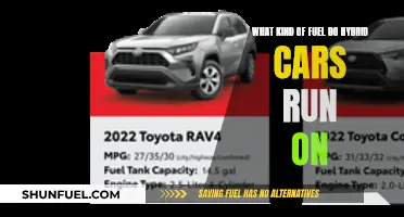 Hybrid Cars: What Fuels Their Engines?
