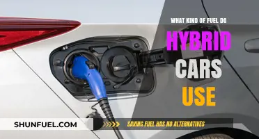 Hybrid Cars Fuel Types: Gasoline, Electricity, and Beyond Explained