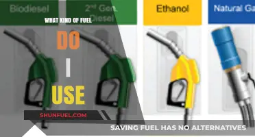 Choosing the Right Fuel: A Comprehensive Guide for Vehicle Owners