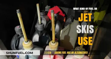 Jet Ski Fuel Guide: What Type Powers Your Watercraft?