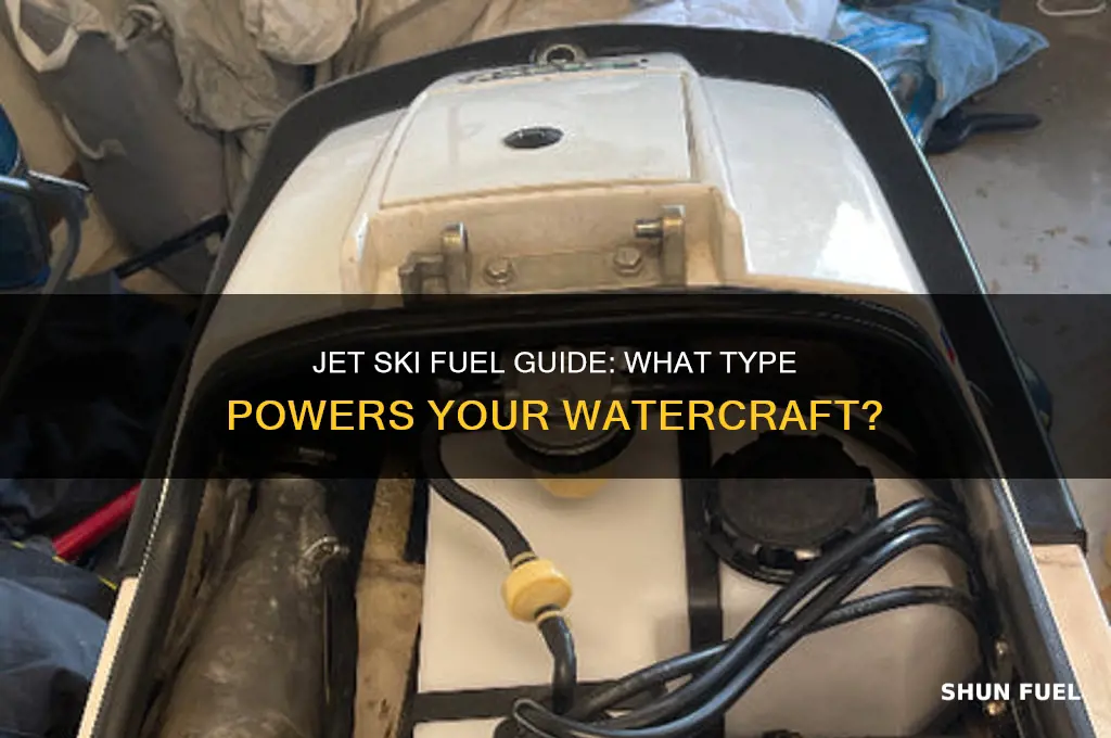 what kind of fuel do jet skis use