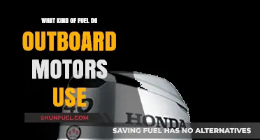 Outboard Motors Fuel Guide: Types and Best Options Explained
