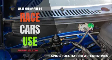 Race Cars: Fuel Types and Performance