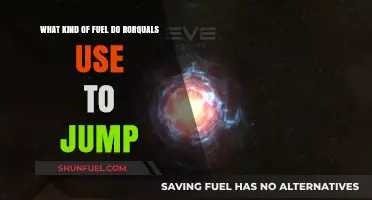 Rorqual Fuel Secrets: Unveiling the Energy Behind Their Majestic Jumps