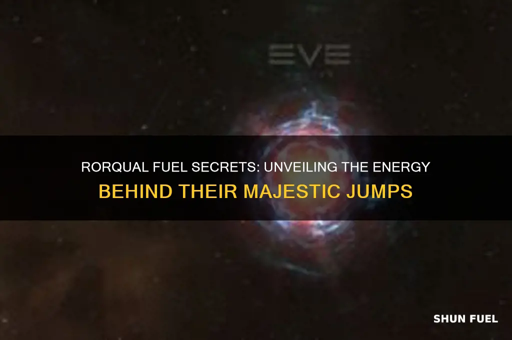 what kind of fuel do rorquals use to jump