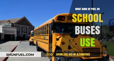 What Fuel Powers School Buses? Types and Environmental Impact Explained