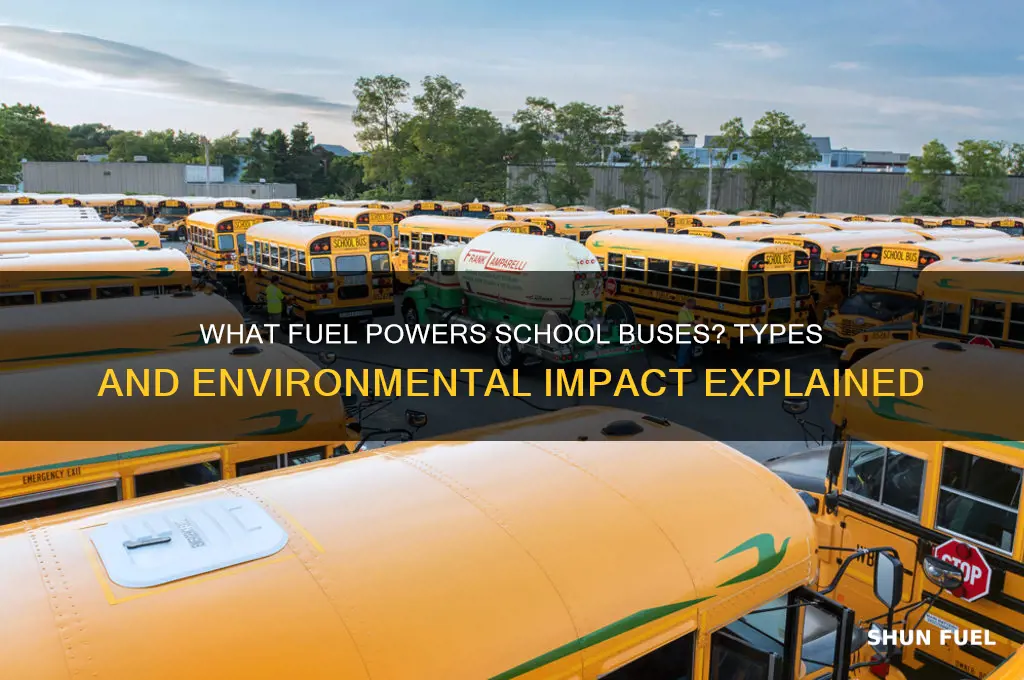 what kind of fuel do school buses use