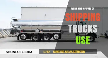 Shipping Trucks Fuel Types: Diesel, Gas, and Alternatives Explained