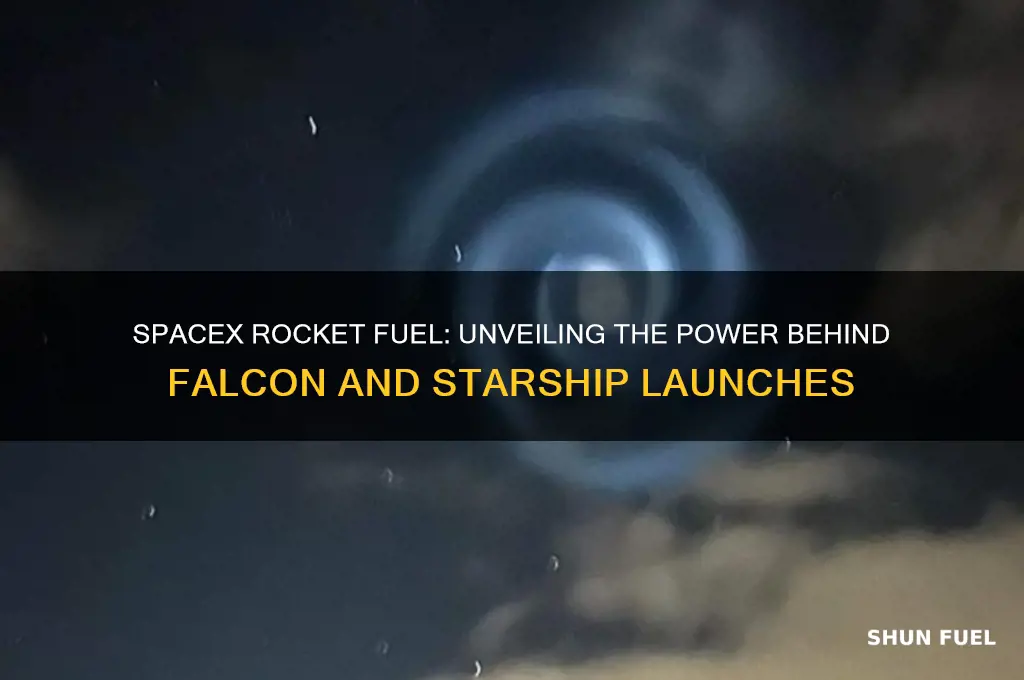 what kind of fuel do spacex rockets use