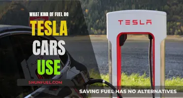 Tesla Cars: Understanding Their Unique Fuel Source