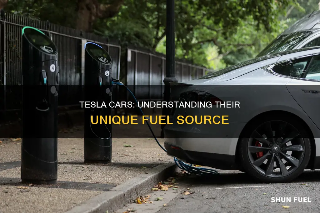 what kind of fuel do tesla cars use
