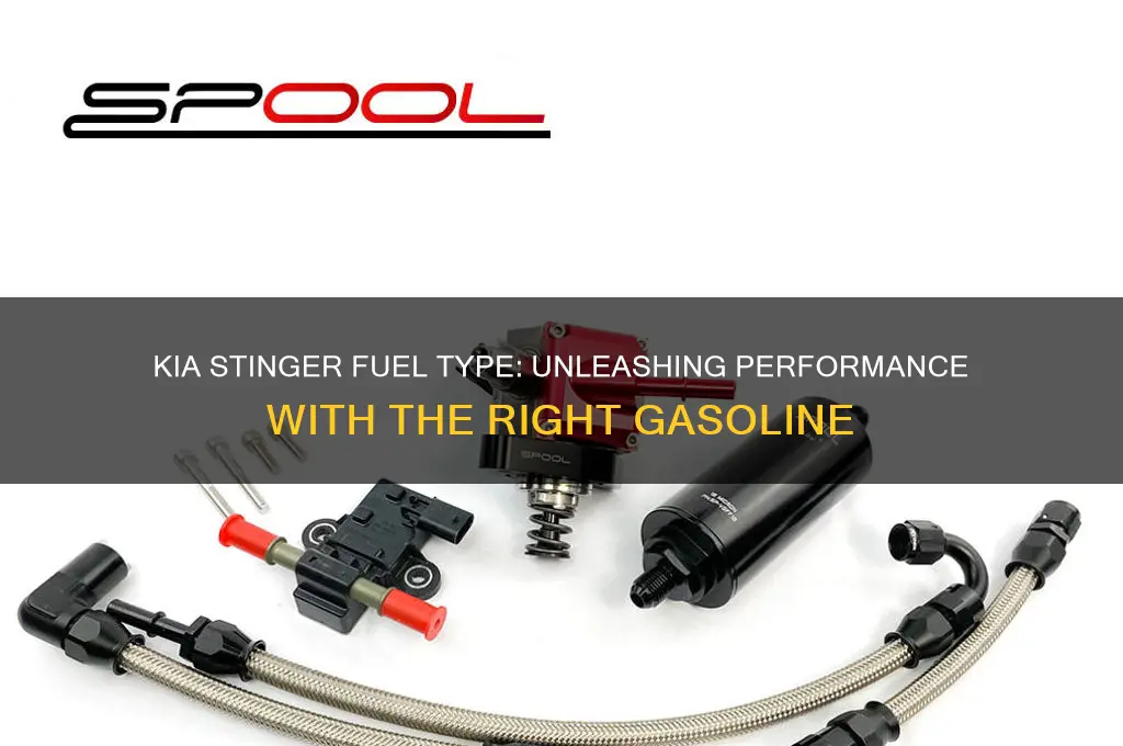 what kind of fuel do the kia stinger use