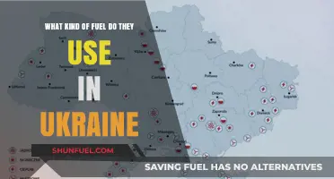 Ukraine's Energy Mix: Exploring the Types of Fuel Used in the Country