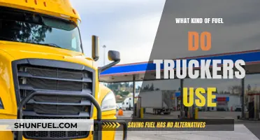 What Fuel Do Truckers Use? A Comprehensive Guide to Trucking Fuels