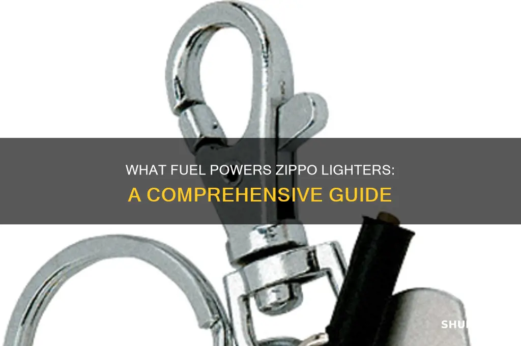 what kind of fuel do zippod use