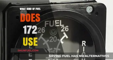Cessna 172 Fuel Type: Unleaded Aviation Gasoline Explained