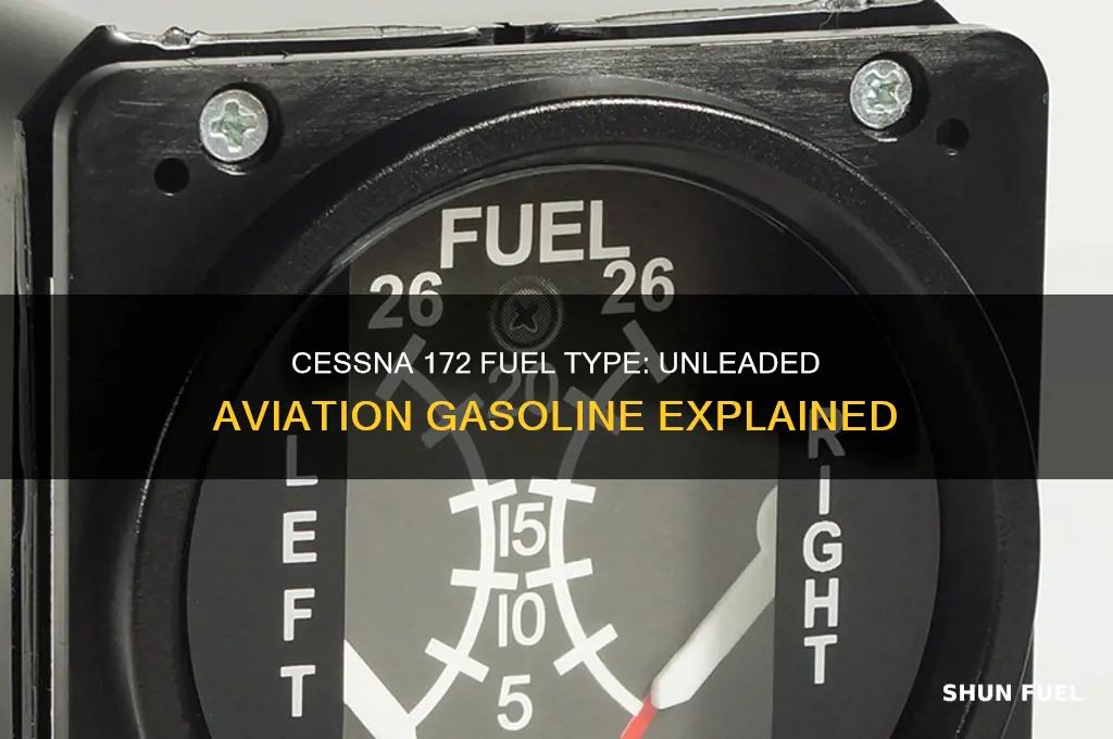 what kind of fuel does 172 use