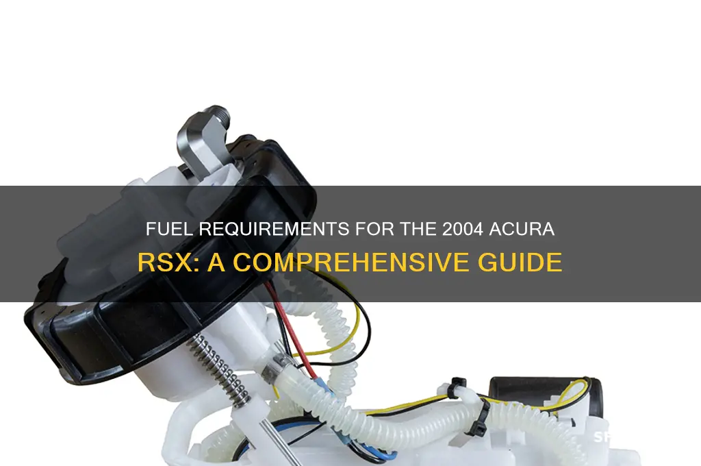 what kind of fuel does 2004 rsx use