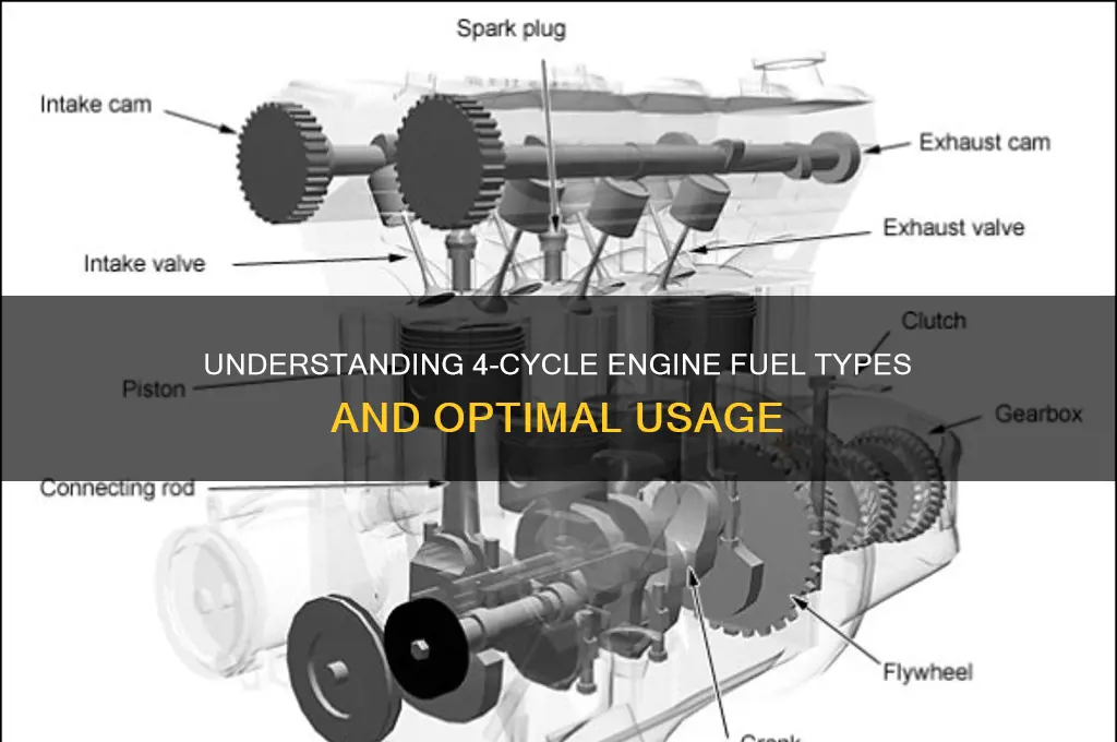 what kind of fuel does 4 cycle engine use