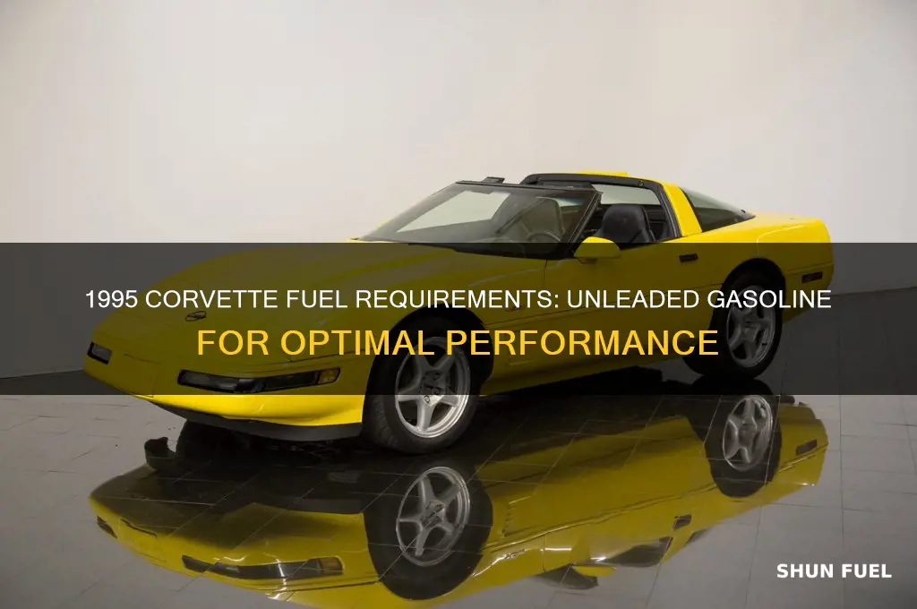 what kind of fuel does a 1995 corvette use