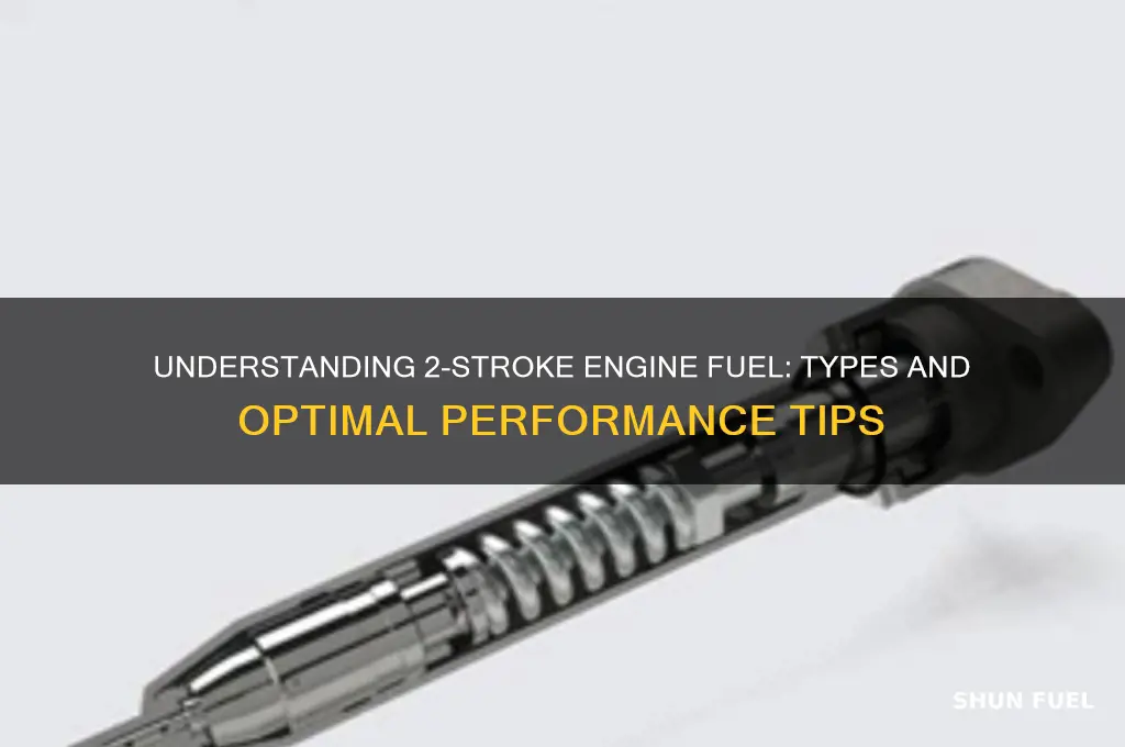 what kind of fuel does a 2 stroke engine use