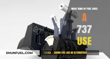 Boeing 737 Fuel Type: Jet-A Powering Commercial Flights