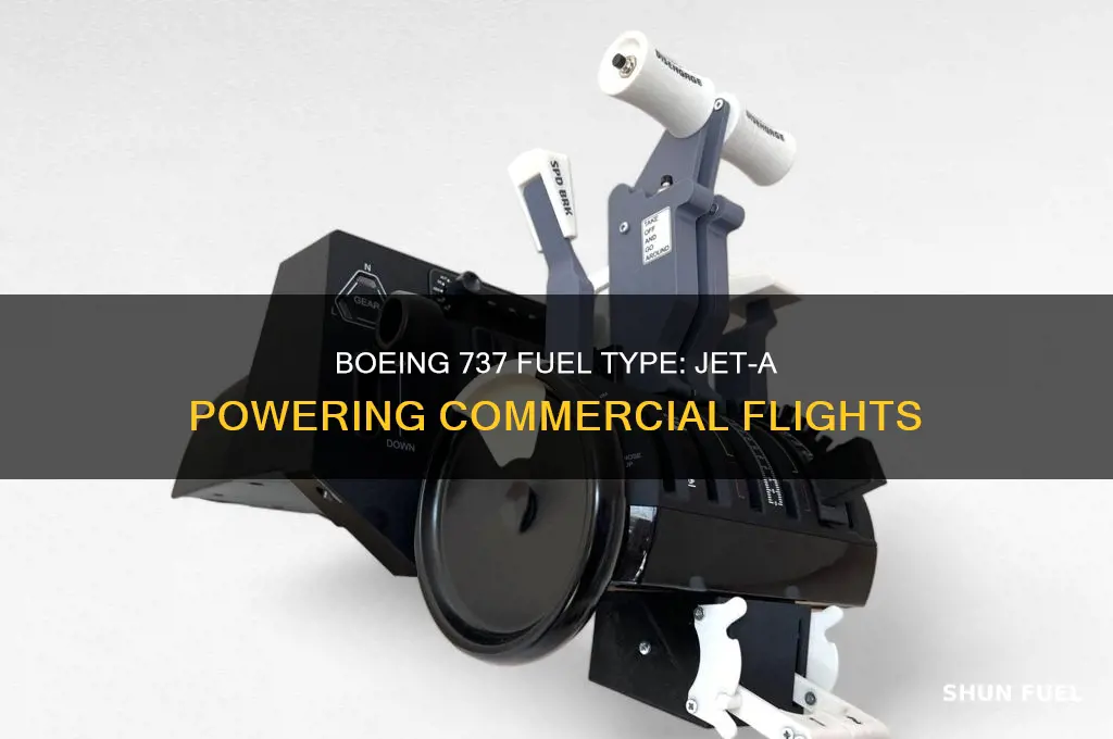 what kind of fuel does a 737 use