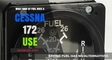 Cessna 172 Fuel Type: Understanding the Power Behind the Iconic Aircraft