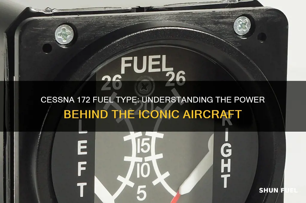 what kind of fuel does a cessna 172 use