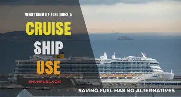 Cruise Ship Fuel Types: Uncovering the Power Behind Ocean Voyages